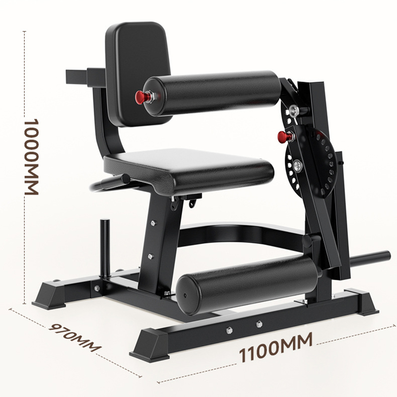 Regulowana ławka treningowa z  – Home Gym Leg Extension recenzja i cena